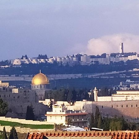 Cozy Garden Leilighet Jerusalem Eksteriør bilde