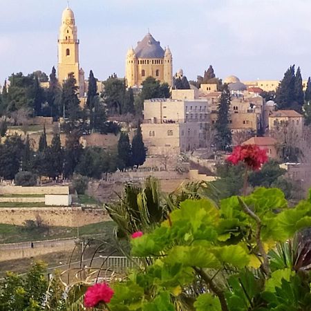 Cozy Garden Leilighet Jerusalem Eksteriør bilde