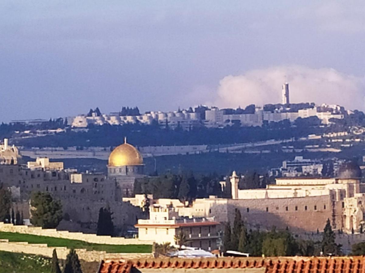 Cozy Garden Leilighet Jerusalem Eksteriør bilde
