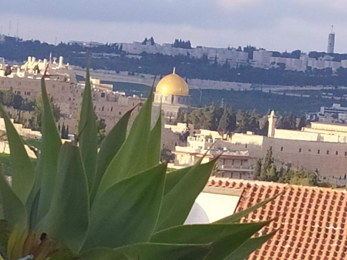 Cozy Garden Leilighet Jerusalem Eksteriør bilde
