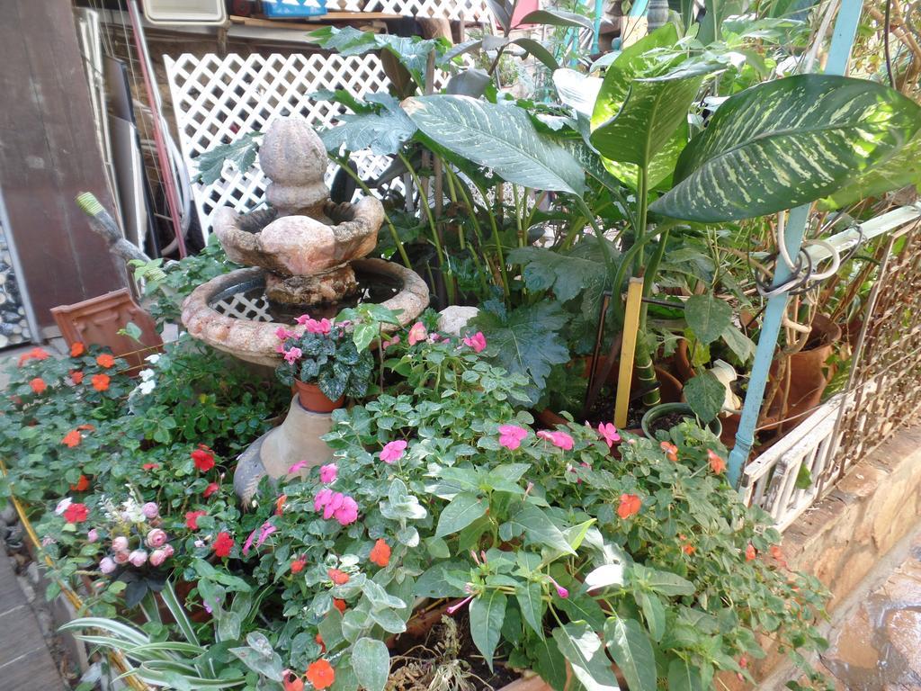 Cozy Garden Leilighet Jerusalem Eksteriør bilde
