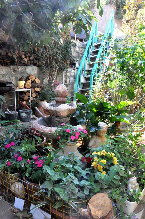 Cozy Garden Leilighet Jerusalem Eksteriør bilde