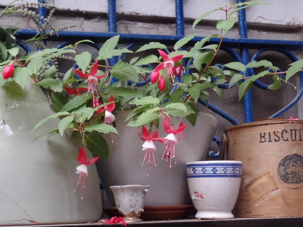 Cozy Garden Leilighet Jerusalem Eksteriør bilde