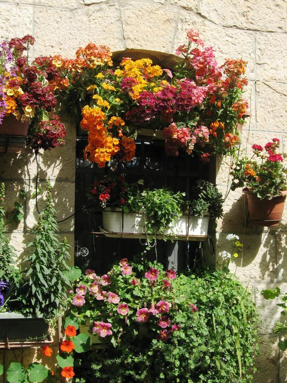 Cozy Garden Leilighet Jerusalem Eksteriør bilde