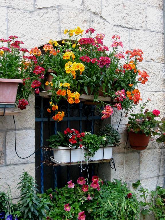 Cozy Garden Leilighet Jerusalem Eksteriør bilde