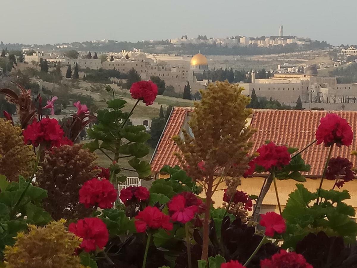 Cozy Garden Leilighet Jerusalem Eksteriør bilde