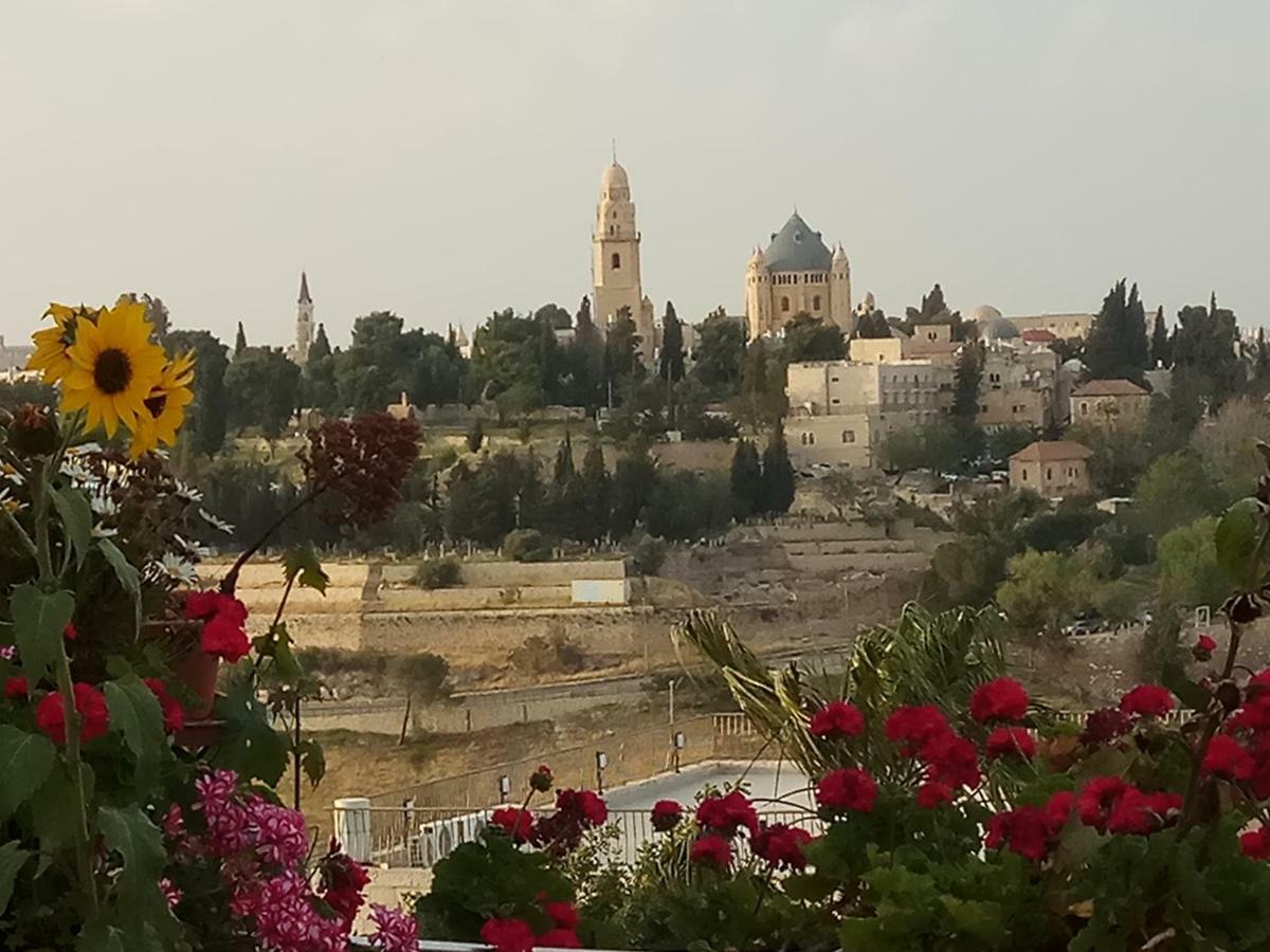 Cozy Garden Leilighet Jerusalem Eksteriør bilde