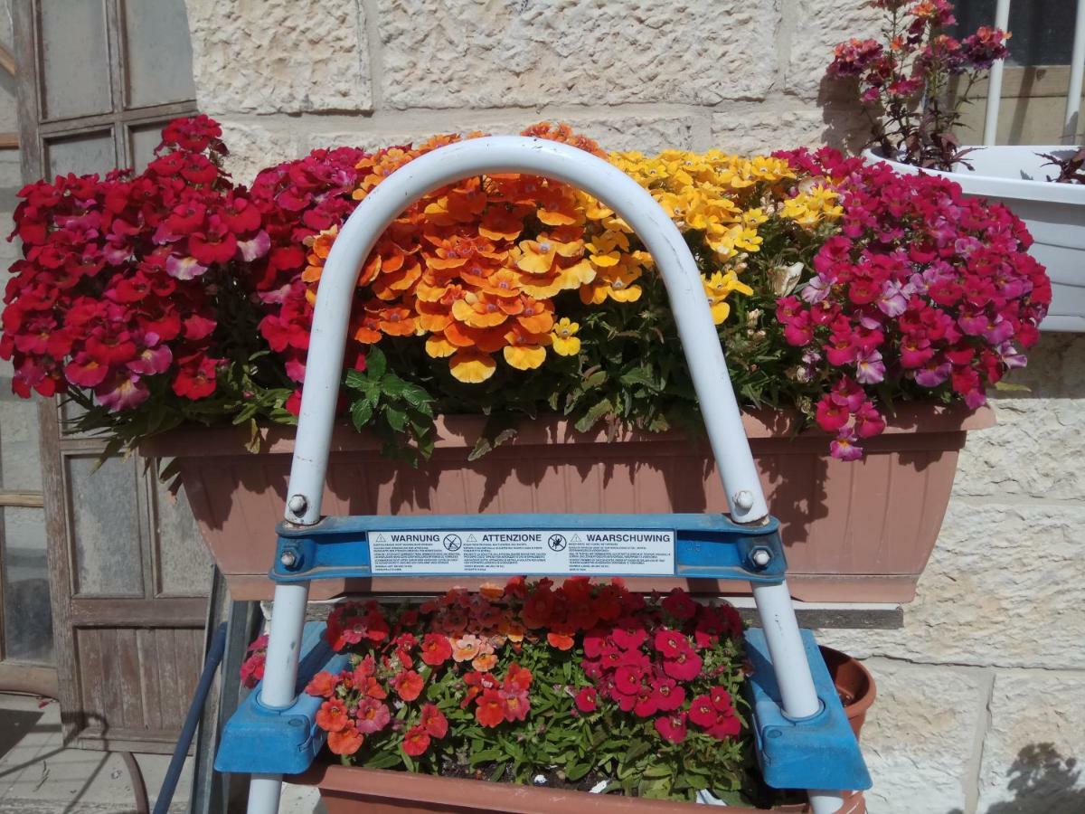 Cozy Garden Leilighet Jerusalem Eksteriør bilde