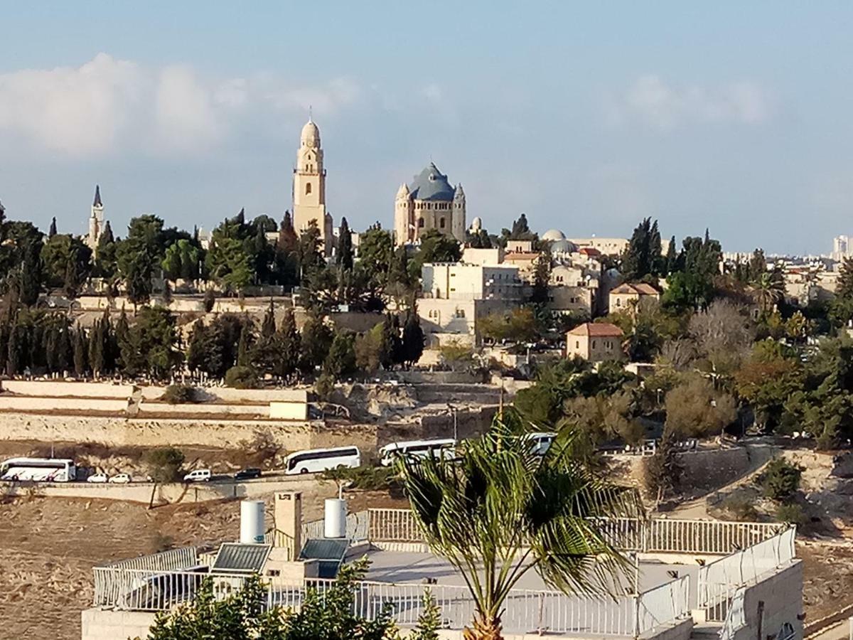 Cozy Garden Leilighet Jerusalem Eksteriør bilde